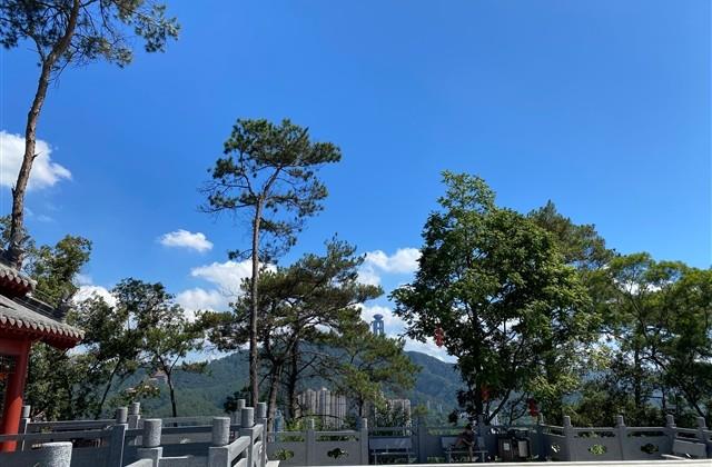 佛经中最唯美的句子(共86句) 佛经中最唯美的句子(共86句)