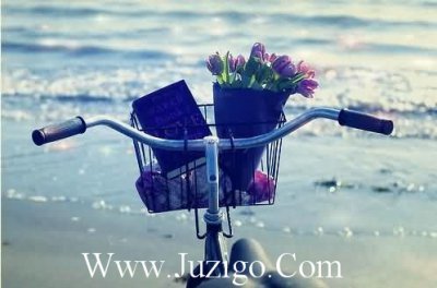​黄金广告标语24句
