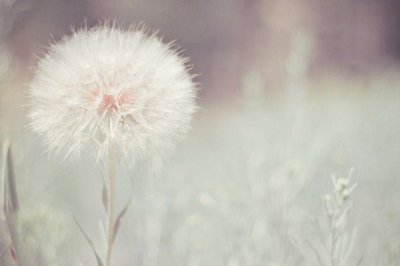 ​促销口号大全86句