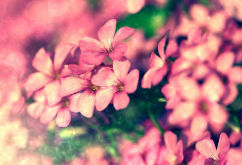 1686188055997476.png image.png