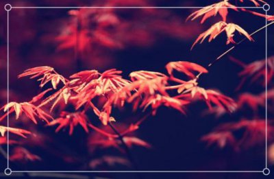 ​地产公司宣传口号 企业文化理念标语精选