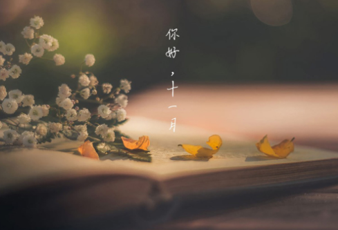 1686207972151600.png image.png