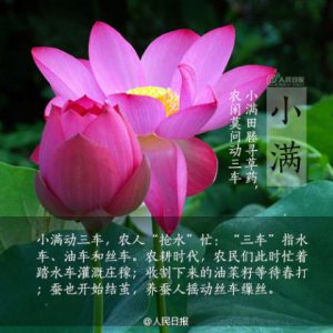 ​大学生创业好项目（口号大全霸气十足16字）