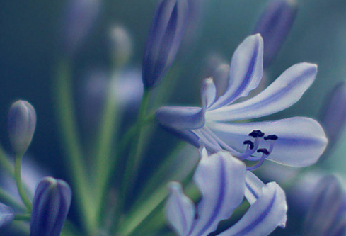 1686192868924408.png image.png
