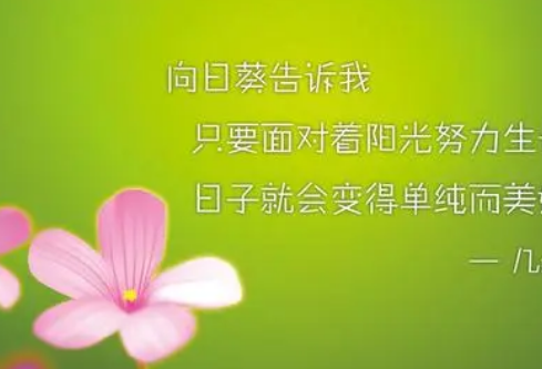 1684599167460397.png image.png