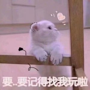 ​快手口号大全霸气（比赛加油口号押韵）