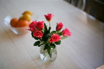​春季高中学校标语 学校开学宣传标语