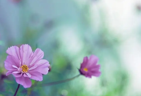 1686187724113410.png image.png