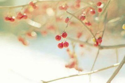 ​食堂提倡勤俭节约口号2025精选(99句)