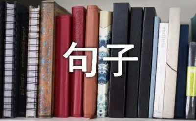​不负韶华的句子精选15篇