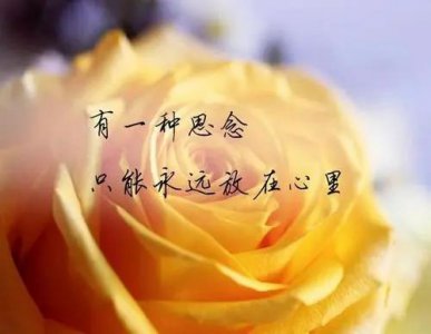 ​想念情人的高情商短句 相思入骨的经典句子