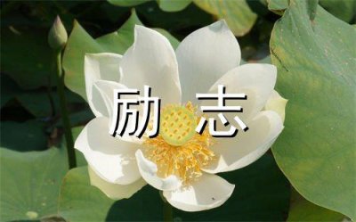 ​晚安语录心情微语精选38句