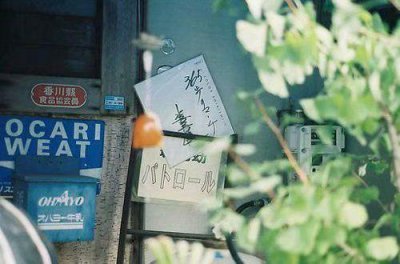 ​富有爱情哲理句子推荐53句