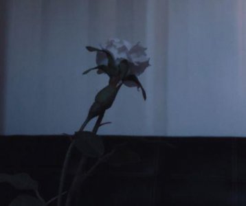​关于恋爱中的唯美句子90句