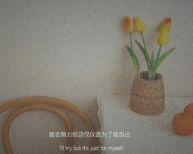 ​爱情好词好句好段