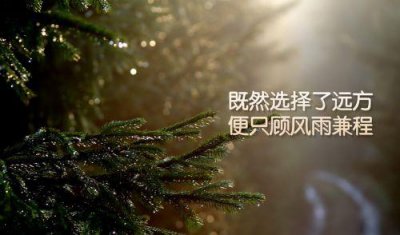 ​欢喜好心情的句子52句