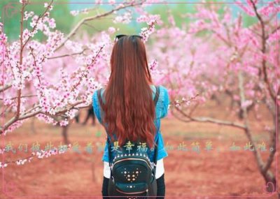 ​关于花瓣飘落的优美句子