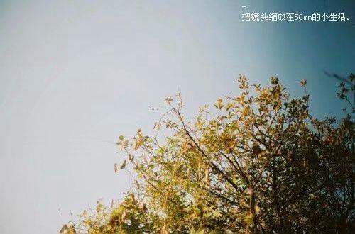 关于经典雷人搞笑句子