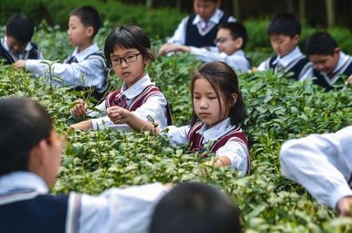 简短的伤心爱情语句汇编30条