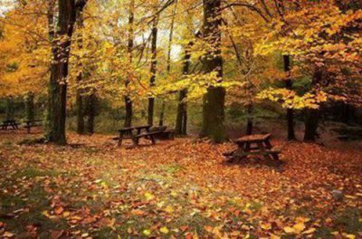 ​简短的伤心爱情语句85条