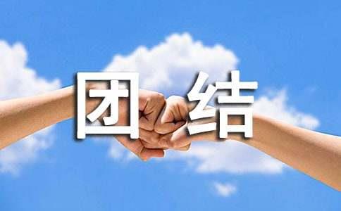 关于团结的句子(通用7篇)