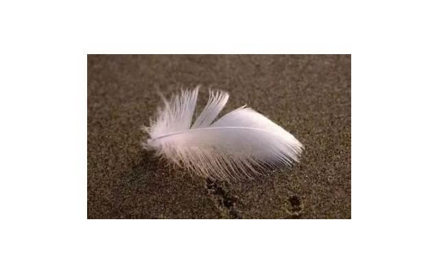 一家四口人文案短句汇总76条 一家四口人文案短句汇总76条