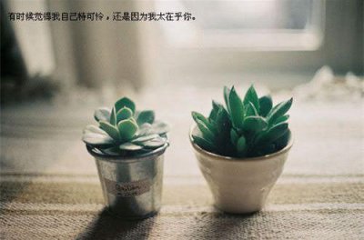 ​简单个性伤感签名(精选128句)
