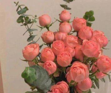 ​微信伤感句子67条