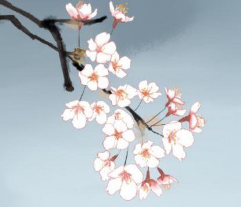 ​个人签名经典语句伤感 qq签名伤感简短(65句)