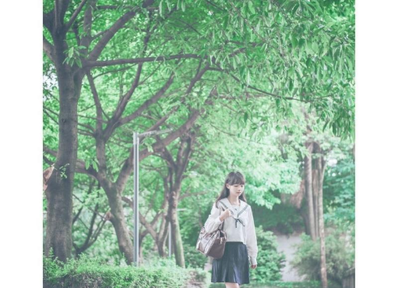 关于春天播种秋天收获的句子