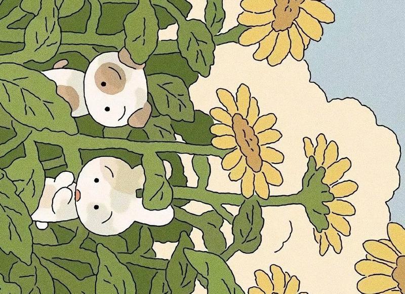 真实情书表白（撩妹情话季节）
