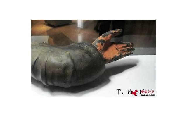 12星座套路情话（骆驼祥子第八章读书笔记好词好句摘抄）