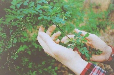 ​早安暖心话短句 甜蜜早安问候女朋友的情话(精选64句)