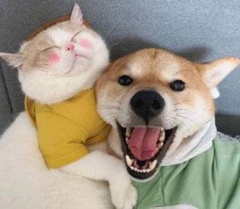 ​关于画画的唯美句子 (17句)
