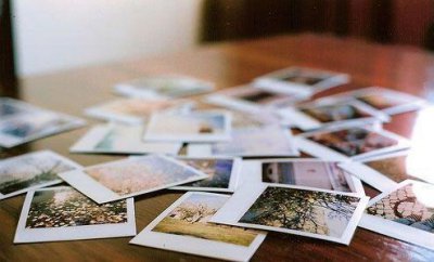 ​白鲸英文名句