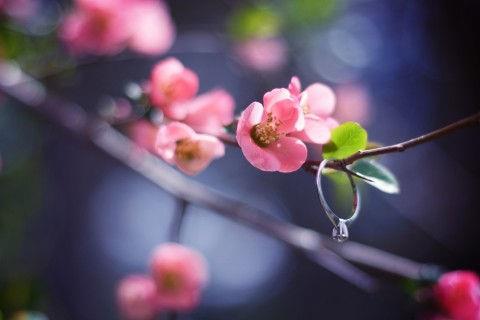 2020年简洁的哲理句子集锦39条