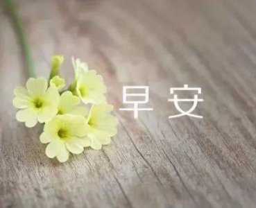 ​让自己不要生气的句子41句