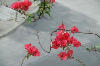 ​抖音爆笑幽默的句子合集40句