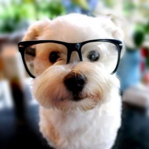 ​感悟人生点滴的哲理句子