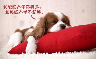 ​简洁的人生感悟的好句