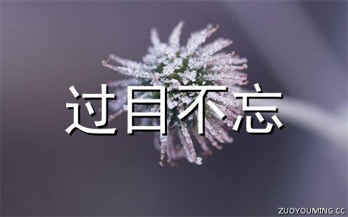 2025年简洁的人生感悟的好句摘录30条