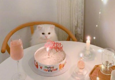 ​关于对家庭失望的句子
