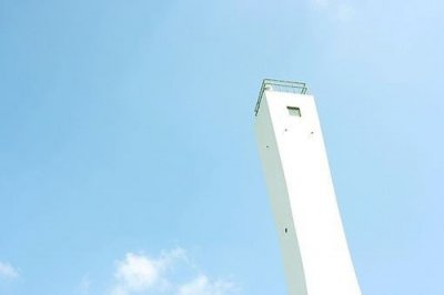 ​爱情诗句摘抄79句