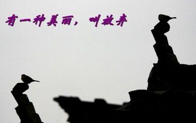 无奈的放弃短语 关于无奈的说说心情短语