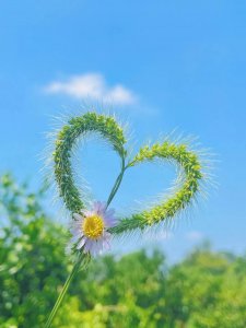 ​20句适合发朋友圈的励志简短 文案和文艺句子