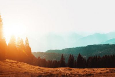 ​低落心情语录88句
