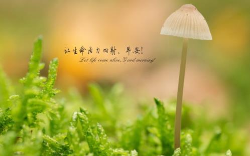 微信说说