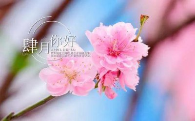 ​四月唯美祝福语录简短 ，唯美文案
