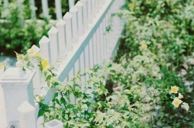 ​爱情话语甜蜜唯美浪漫