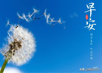 ​关于感恩 珍惜的唯美句子说说心情说说心情 早安心语